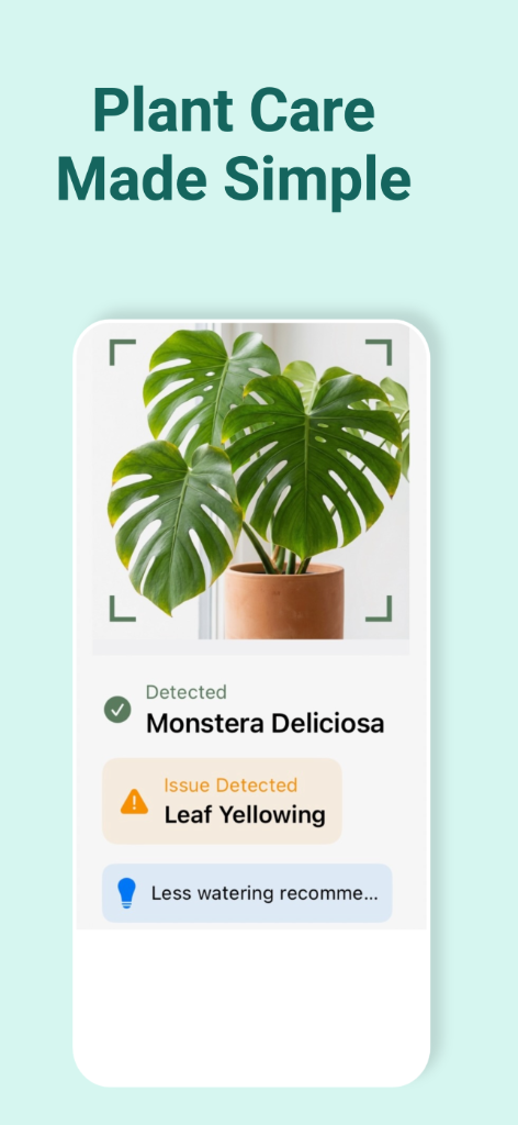 Identification