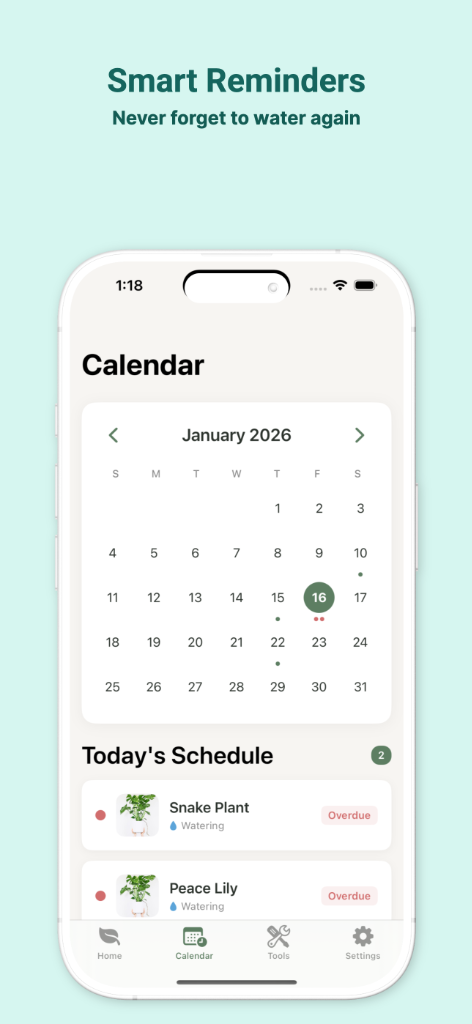 Calendar